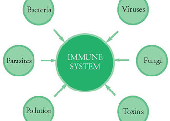 Are You Nourishing Your Immune System?